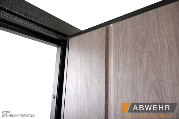 Abwehr Входные двери со стеклом Solid Glass комплектация Defender (цвет RAL 8022Т)