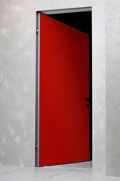 Arоna Doors Дверний блок з фарбуванням полотна матовою емаллю по RAL