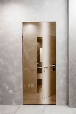 Arоna Doors Дверний блок з оздобленням полотна дзеркалом графіт або бронза