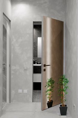 Arоna Doors Дверной блок с отделкой полотна зеркалом графит или бронза