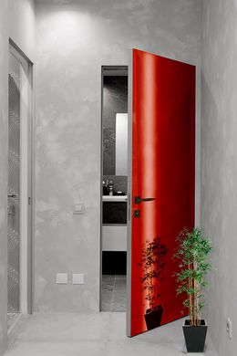 Arоna Doors Дверний блок з оздобленням полотна склом фарбованим по RAL