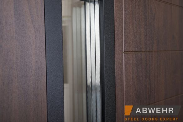 Abwehr Входные двери с терморазрывом ABWehr Ufo (цвет Ral 8019 + ТО) комплектация Cottage