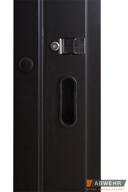 Abwehr Вхідні двері модель Solid Glass (колір Ral 8022T) комплектація Defender