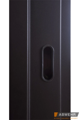 Abwehr Входные двери модель Solid Glass (цвет Ral 8022T) комплектация Defender