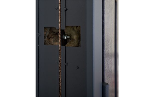 Abwehr Входные двери с терморазрывом модель Olimpia Glass комплектация Bionica 2