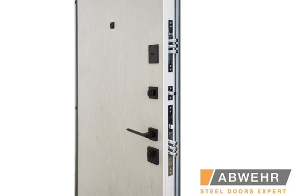 Abwehr Вхідні двері модель Rail (Колір Кварцит + Рустик Авіньйон) комплектація Classic